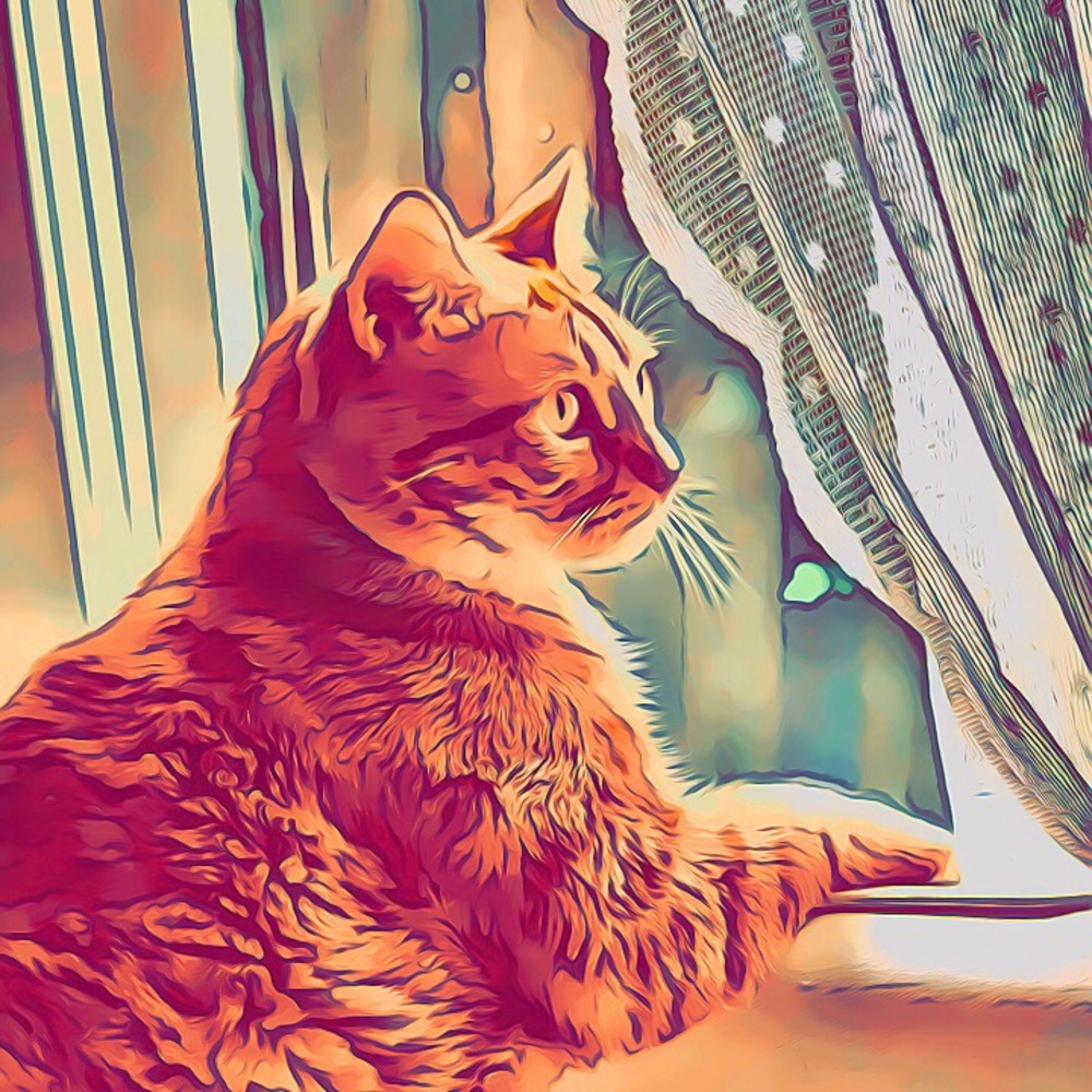 Meet your Posher, Deborah